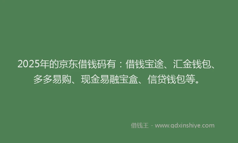 2025年的京东借钱码有：借钱宝途、汇金钱包、多多易购、现金易融宝盒、信贷钱包等。