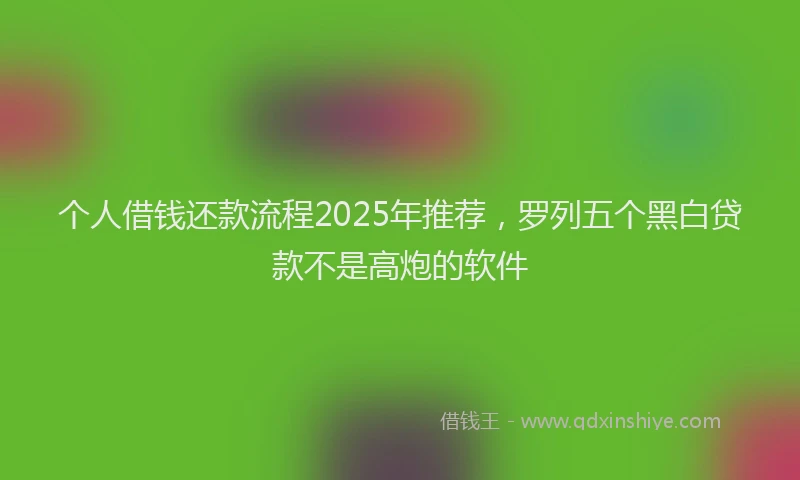 个人借钱还款流程2025年推荐，罗列五个黑白贷款不是高炮的软件