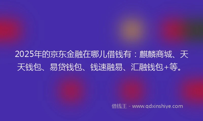 2025年的京东金融在哪儿借钱有：麒麟商城、天天钱包、易贷钱包、钱速融易、汇融钱包+等。