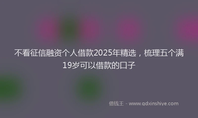 不看征信融资个人借款2025年精选，梳理五个满19岁可以借款的口子