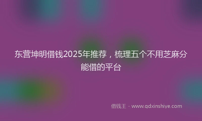 东营坤明借钱2025年推荐，梳理五个不用芝麻分能借的平台