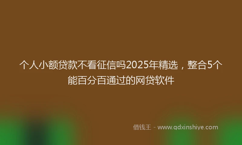 个人小额贷款不看征信吗2025年精选，整合5个能百分百通过的网贷软件