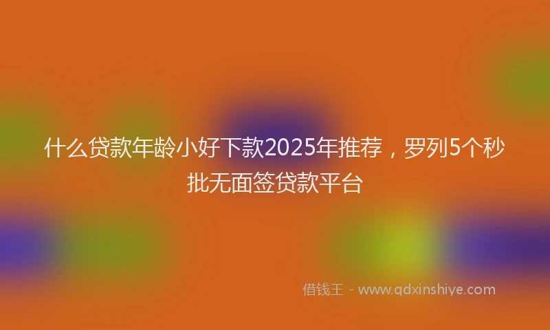 什么贷款年龄小好下款2025年推荐，罗列5个秒批无面签贷款平台