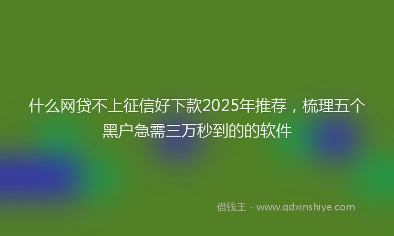 什么网贷不上征信好下款2025年推荐，梳理五个黑户急需三万秒到的的软件