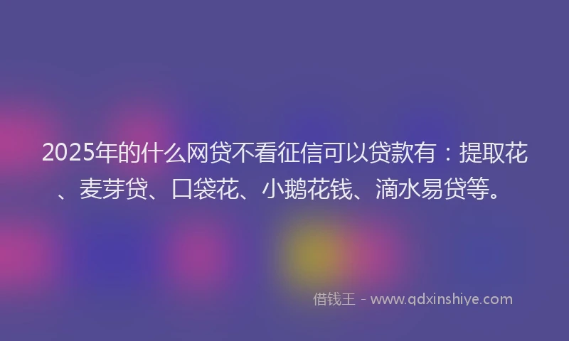2025年的什么网贷不看征信可以贷款有：提取花、麦芽贷、口袋花、小鹅花钱、滴水易贷等。
