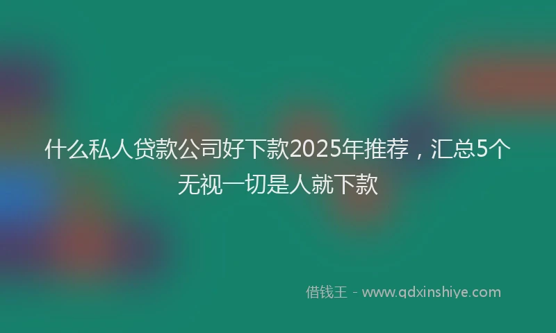 什么私人贷款公司好下款2025年推荐，汇总5个无视一切是人就下款