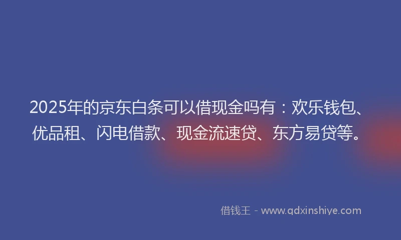 2025年的京东白条可以借现金吗有：欢乐钱包、优品租、闪电借款、现金流速贷、东方易贷等。