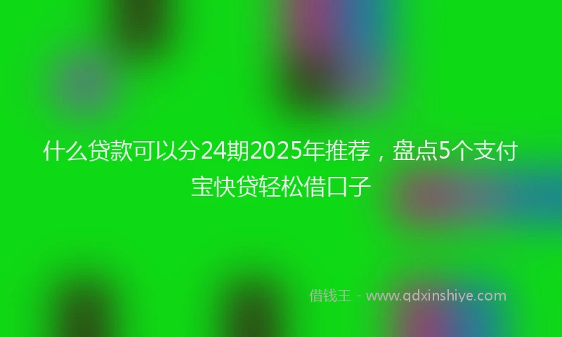 什么贷款可以分24期2025年推荐，盘点5个支付宝快贷轻松借口子