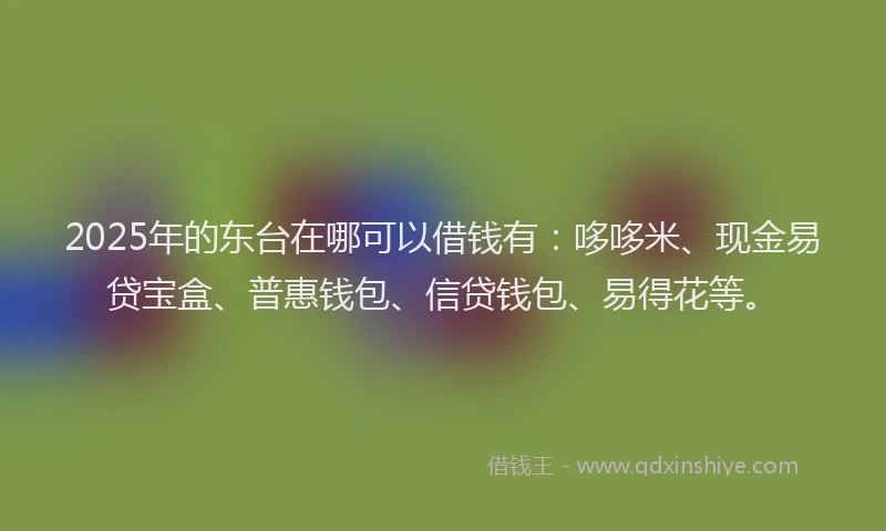 2025年的东台在哪可以借钱有：哆哆米、现金易贷宝盒、普惠钱包、信贷钱包、易得花等。