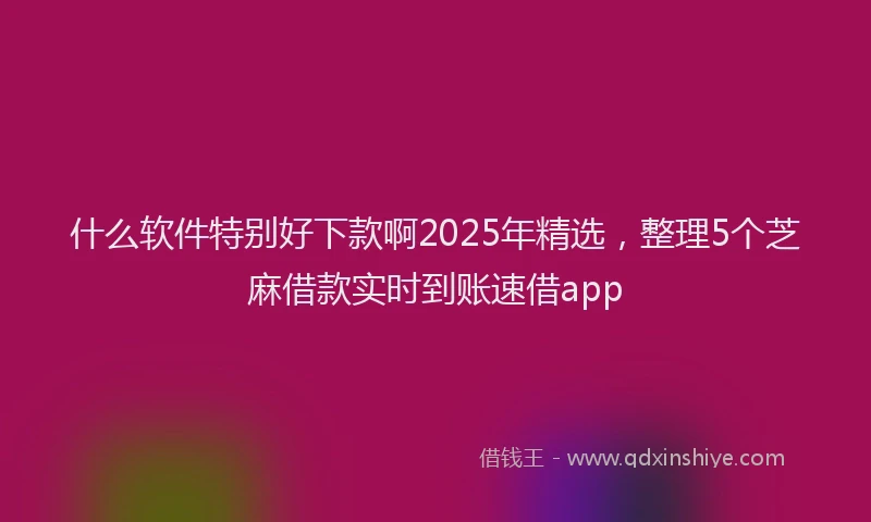 什么软件特别好下款啊2025年精选，整理5个芝麻借款实时到账速借app