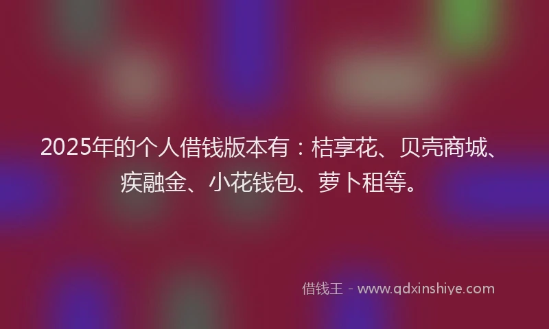 2025年的个人借钱版本有：桔享花、贝壳商城、疾融金、小花钱包、萝卜租等。