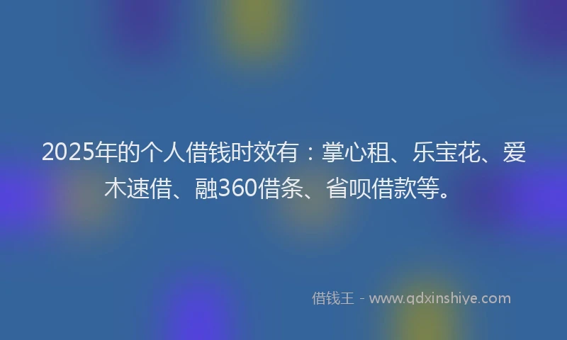 2025年的个人借钱时效有：掌心租、乐宝花、爱木速借、融360借条、省呗借款等。