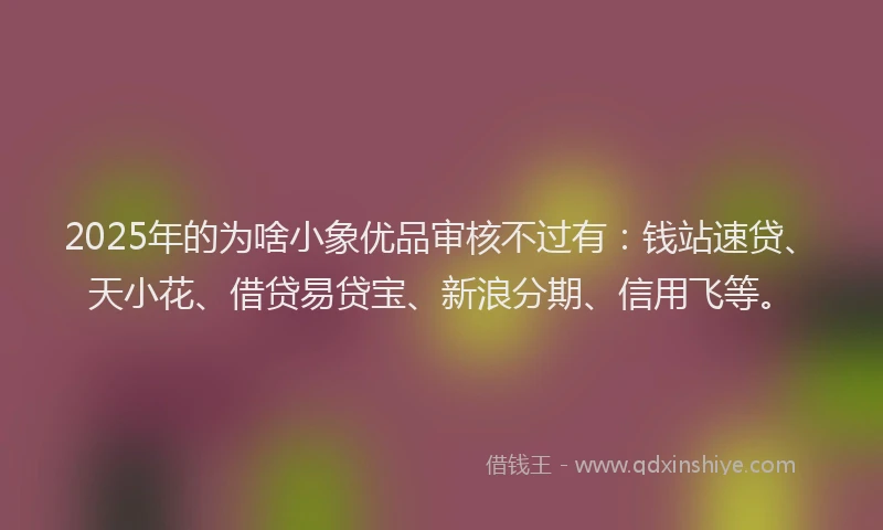 2025年的为啥小象优品审核不过有：钱站速贷、天小花、借贷易贷宝、新浪分期、信用飞等。