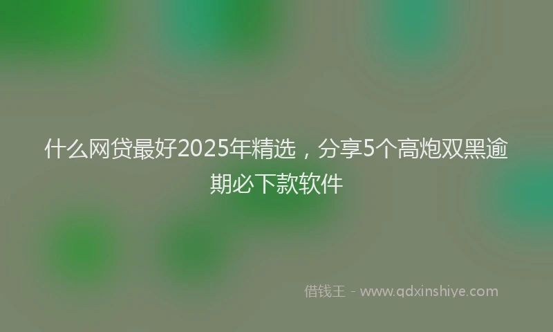 什么网贷最好2025年精选，分享5个高炮双黑逾期必下款软件