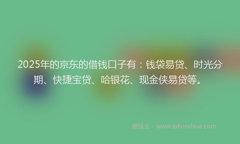 2025年的京东的借钱口子有：钱袋易贷、时光分期、快捷宝贷、哈银花、现金侠易贷等。