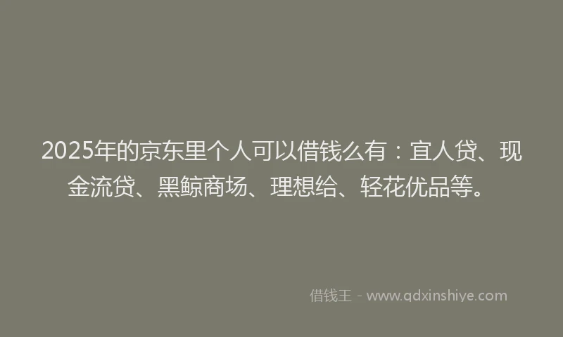 2025年的京东里个人可以借钱么有：宜人贷、现金流贷、黑鲸商场、理想给、轻花优品等。
