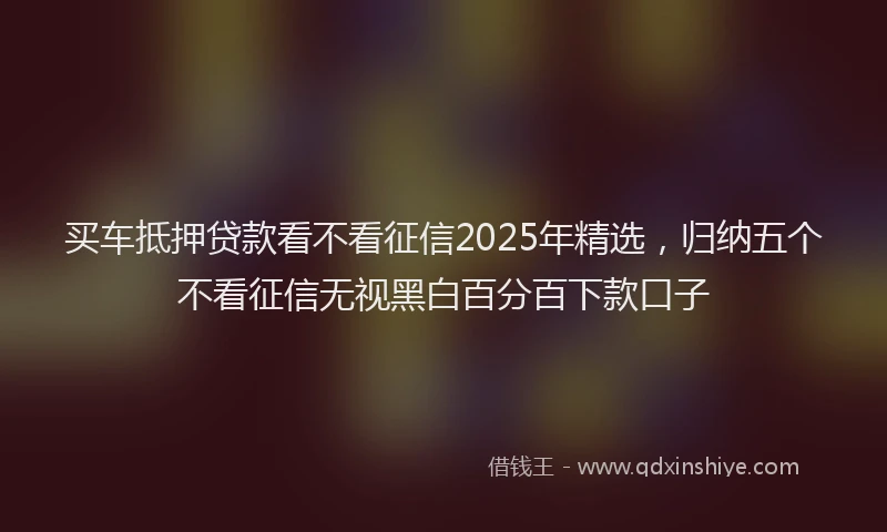 买车抵押贷款看不看征信2025年精选，归纳五个不看征信无视黑白百分百下款口子