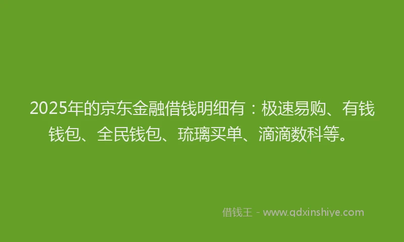 2025年的京东金融借钱明细有：极速易购、有钱钱包、全民钱包、琉璃买单、滴滴数科等。