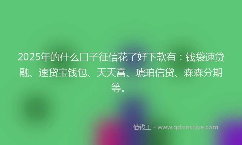 2025年的什么口子征信花了好下款有：钱袋速贷融、速贷宝钱包、天天富、琥珀信贷、森森分期等。