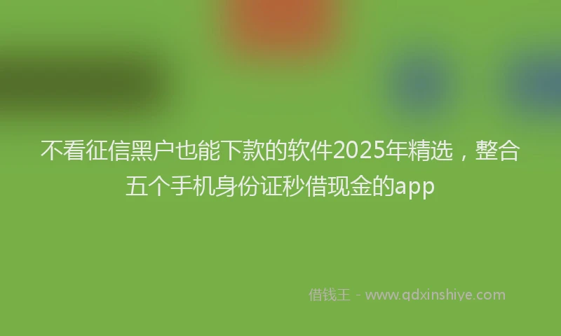 不看征信黑户也能下款的软件2025年精选，整合五个手机身份证秒借现金的app
