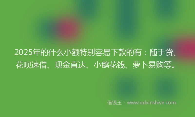 2025年的什么小额特别容易下款的有：随手贷、花呗速借、现金直达、小鹅花钱、萝卜易购等。