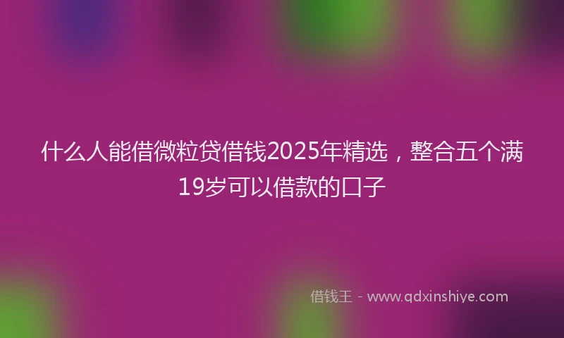 什么人能借微粒贷借钱2025年精选，整合五个满19岁可以借款的口子
