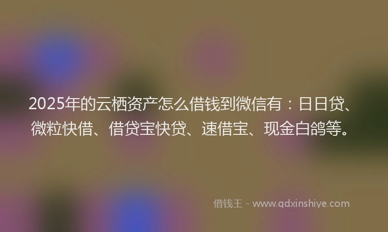 2025年的云栖资产怎么借钱到微信有：日日贷、微粒快借、借贷宝快贷、速借宝、现金白鸽等。