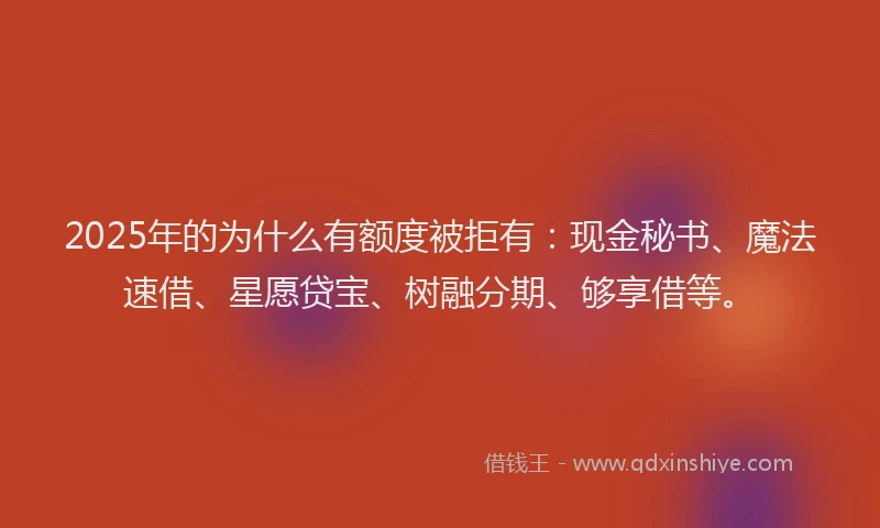 2025年的为什么有额度被拒有：现金秘书、魔法速借、星愿贷宝、树融分期、够享借等。