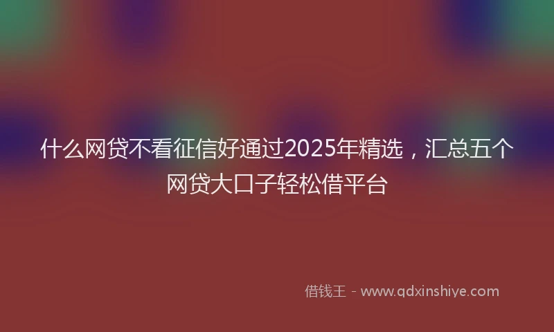 什么网贷不看征信好通过2025年精选，汇总五个网贷大口子轻松借平台