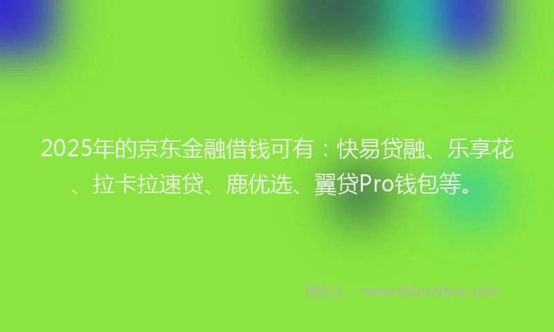 2025年的京东金融借钱可有：快易贷融、乐享花、拉卡拉速贷、鹿优选、翼贷Pro钱包等。