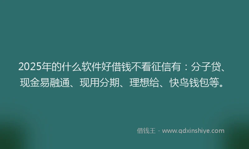 2025年的什么软件好借钱不看征信有：分子贷、现金易融通、现用分期、理想给、快鸟钱包等。