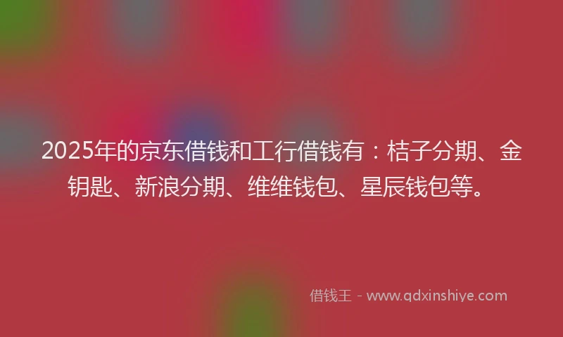 2025年的京东借钱和工行借钱有：桔子分期、金钥匙、新浪分期、维维钱包、星辰钱包等。