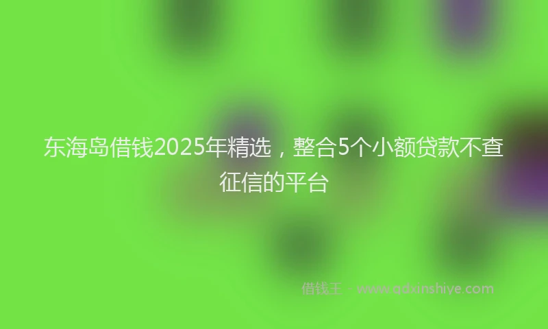 东海岛借钱2025年精选，整合5个小额贷款不查征信的平台
