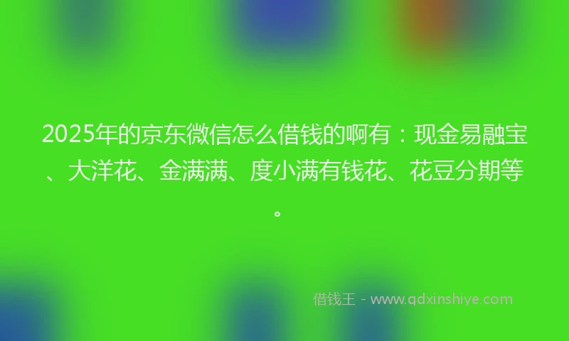2025年的京东微信怎么借钱的啊有：现金易融宝、大洋花、金满满、度小满有钱花、花豆分期等。