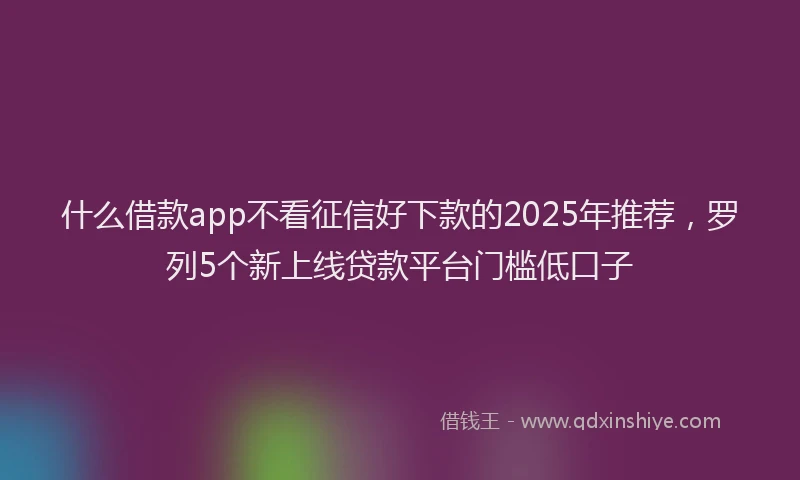 什么借款app不看征信好下款的2025年推荐，罗列5个新上线贷款平台门槛低口子