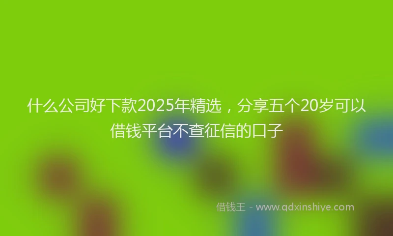 什么公司好下款2025年精选，分享五个20岁可以借钱平台不查征信的口子