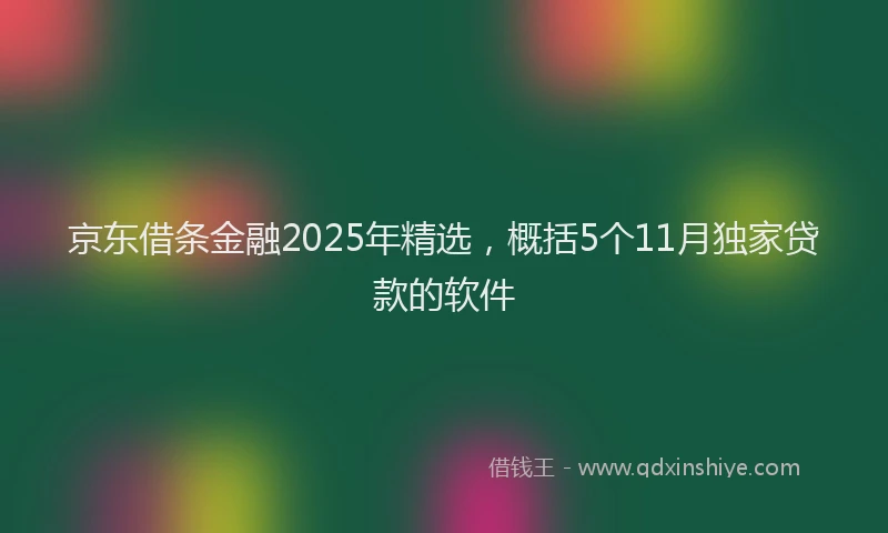 京东借条金融2025年精选，概括5个11月独家贷款的软件