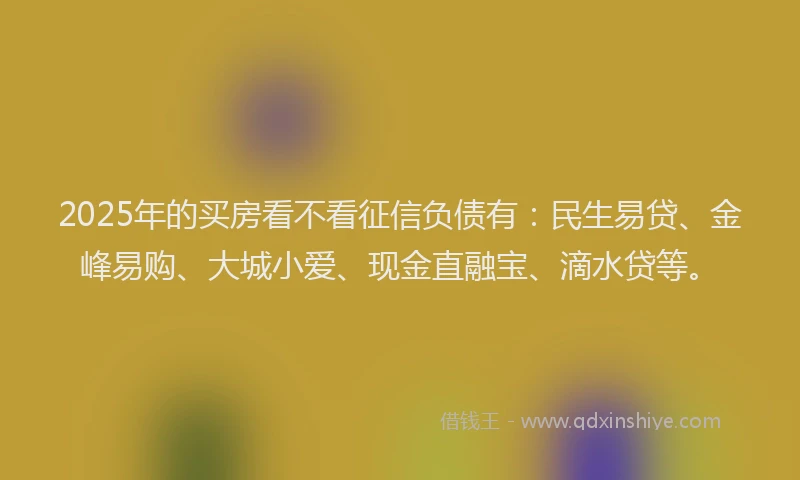2025年的买房看不看征信负债有：民生易贷、金峰易购、大城小爱、现金直融宝、滴水贷等。