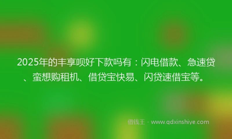 2025年的丰享呗好下款吗有：闪电借款、急速贷、蛮想购租机、借贷宝快易、闪贷速借宝等。