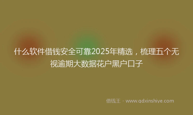什么软件借钱安全可靠2025年精选，梳理五个无视逾期大数据花户黑户口子