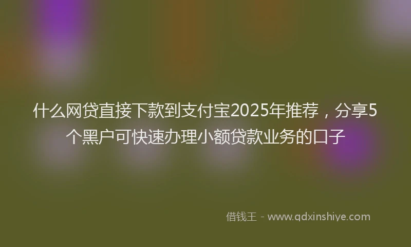什么网贷直接下款到支付宝2025年推荐，分享5个黑户可快速办理小额贷款业务的口子