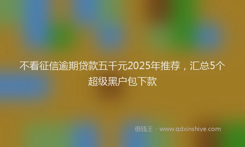 不看征信逾期贷款五千元2025年推荐，汇总5个超级黑户包下款