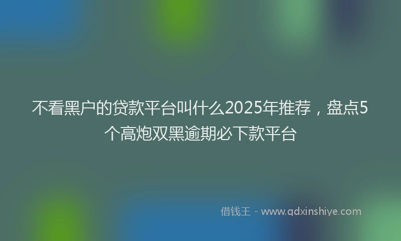 不看黑户的贷款平台叫什么2025年推荐，盘点5个高炮双黑逾期必下款平台