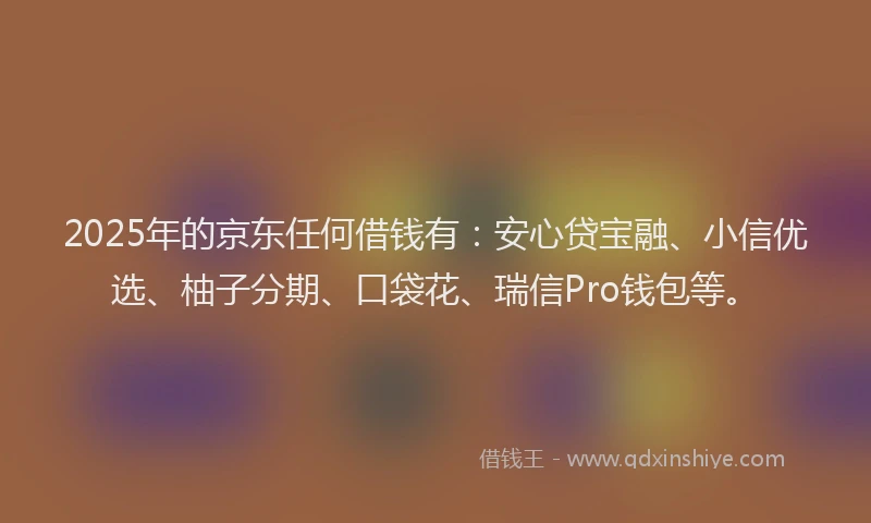 2025年的京东任何借钱有：安心贷宝融、小信优选、柚子分期、口袋花、瑞信Pro钱包等。