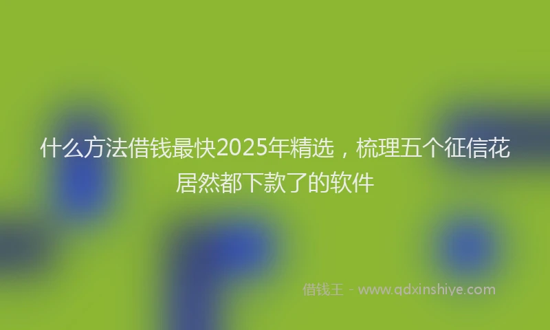 什么方法借钱最快2025年精选，梳理五个征信花居然都下款了的软件