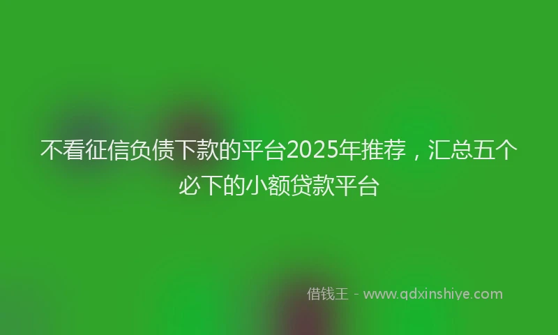 不看征信负债下款的平台2025年推荐，汇总五个必下的小额贷款平台