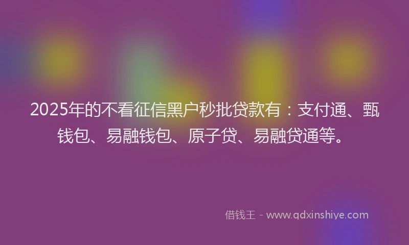 2025年的不看征信黑户秒批贷款有：支付通、甄钱包、易融钱包、原子贷、易融贷通等。