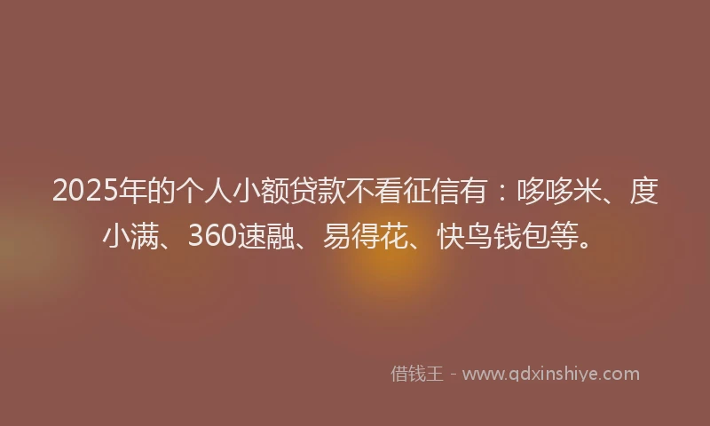 2025年的个人小额贷款不看征信有：哆哆米、度小满、360速融、易得花、快鸟钱包等。