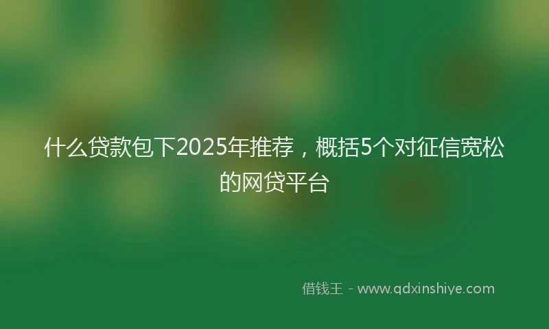 什么贷款包下2025年推荐，概括5个对征信宽松的网贷平台