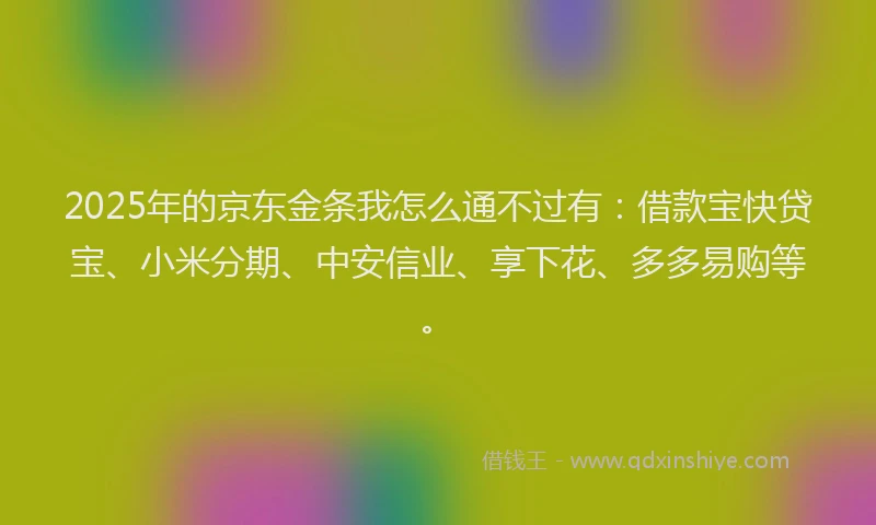 2025年的京东金条我怎么通不过有：借款宝快贷宝、小米分期、中安信业、享下花、多多易购等。
